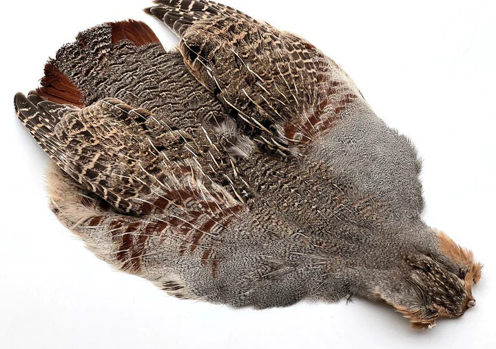 Perdix Hungarian Partridge Feathers