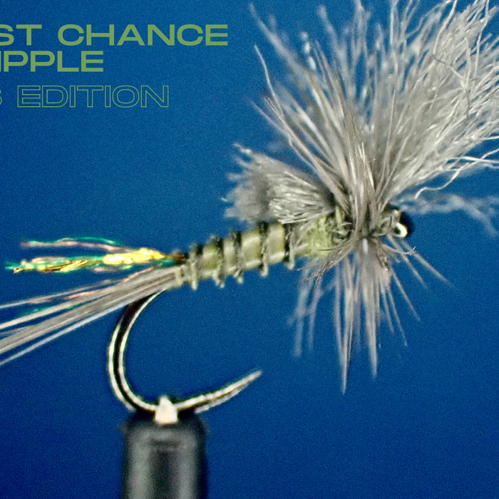 Rene Harrop BWO Last Chance Cripple Guides Edition