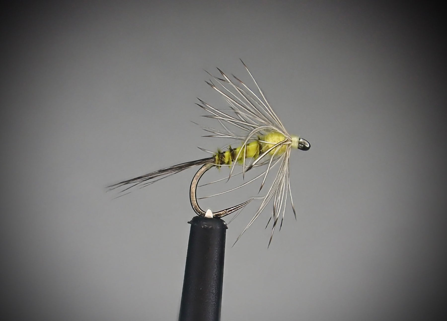 Biot Body PMD Soft Hackle Emerger Fly with a Gray Backdrop