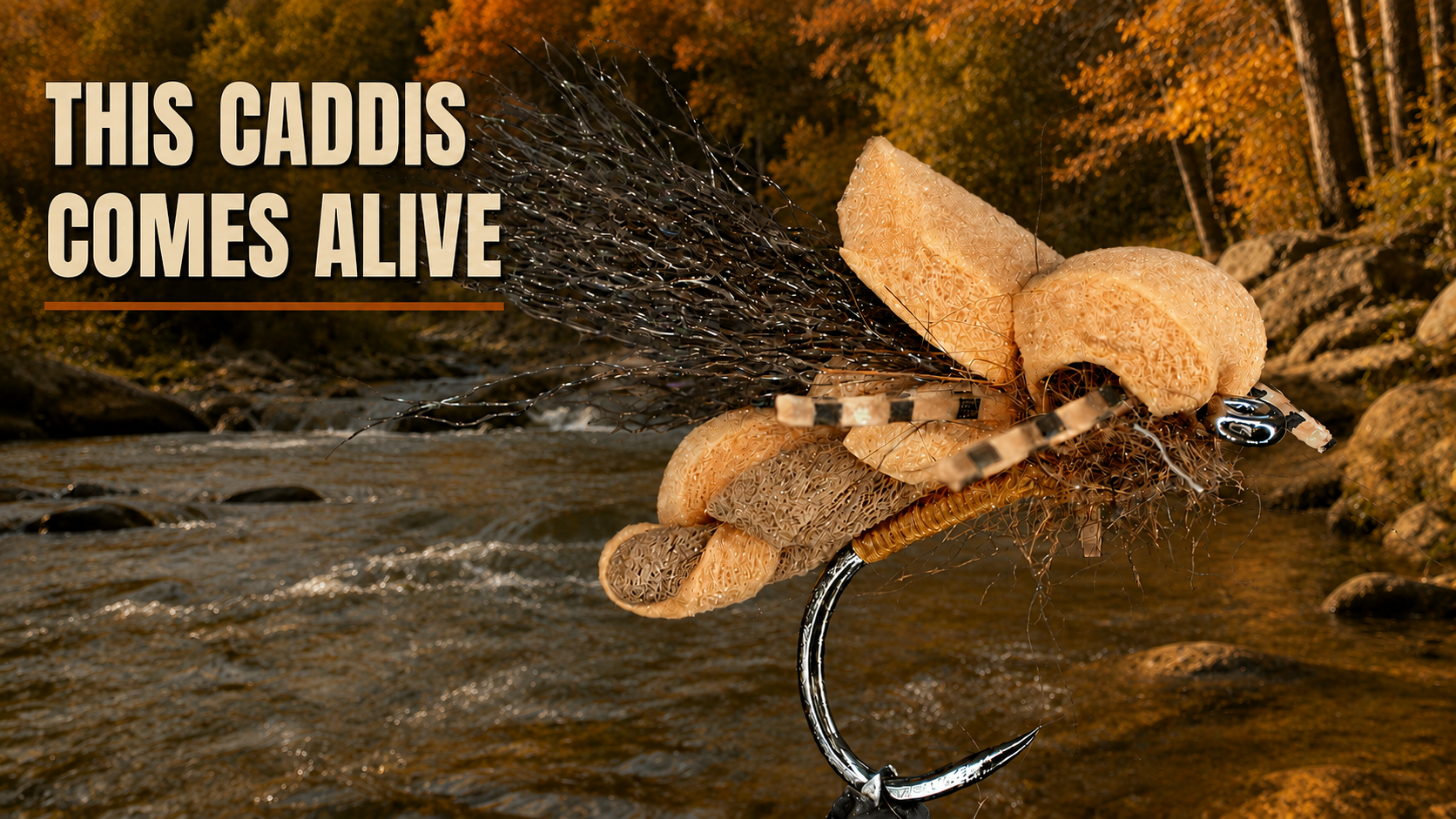 Backcountry Halo October Caddis: Tie and Fish a Dry Fly Built to Drift, Skate and Wake