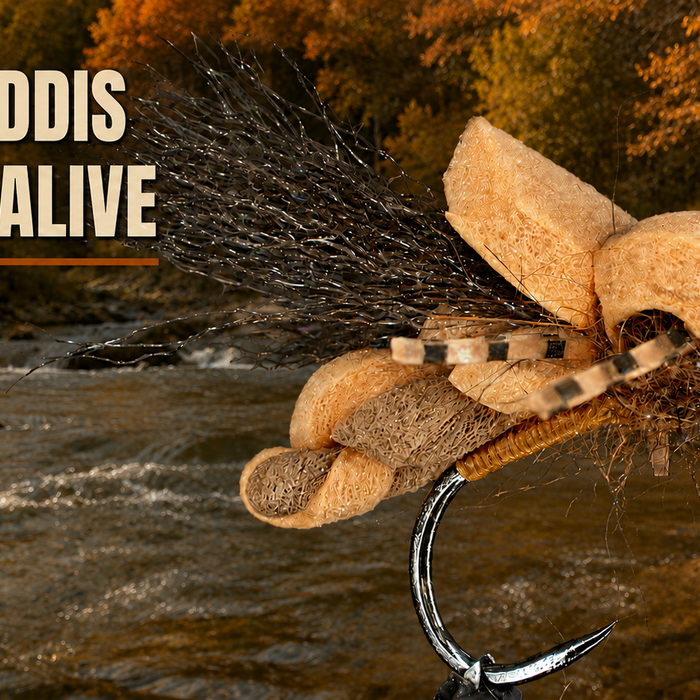Backcountry Halo October Caddis: Tie and Fish a Dry Fly Built to Drift, Skate and Wake