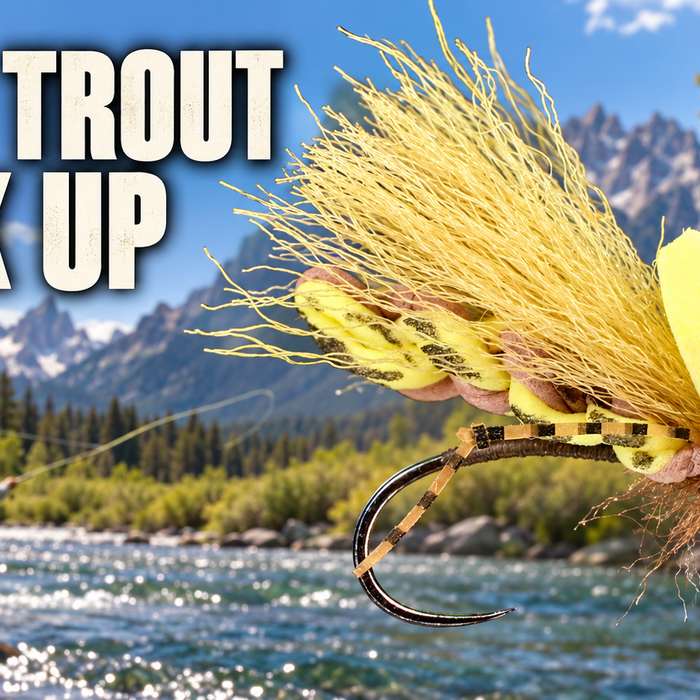 Backcountry Halo Golden Stone: A High-Floating Foam Golden Stonefly Pattern