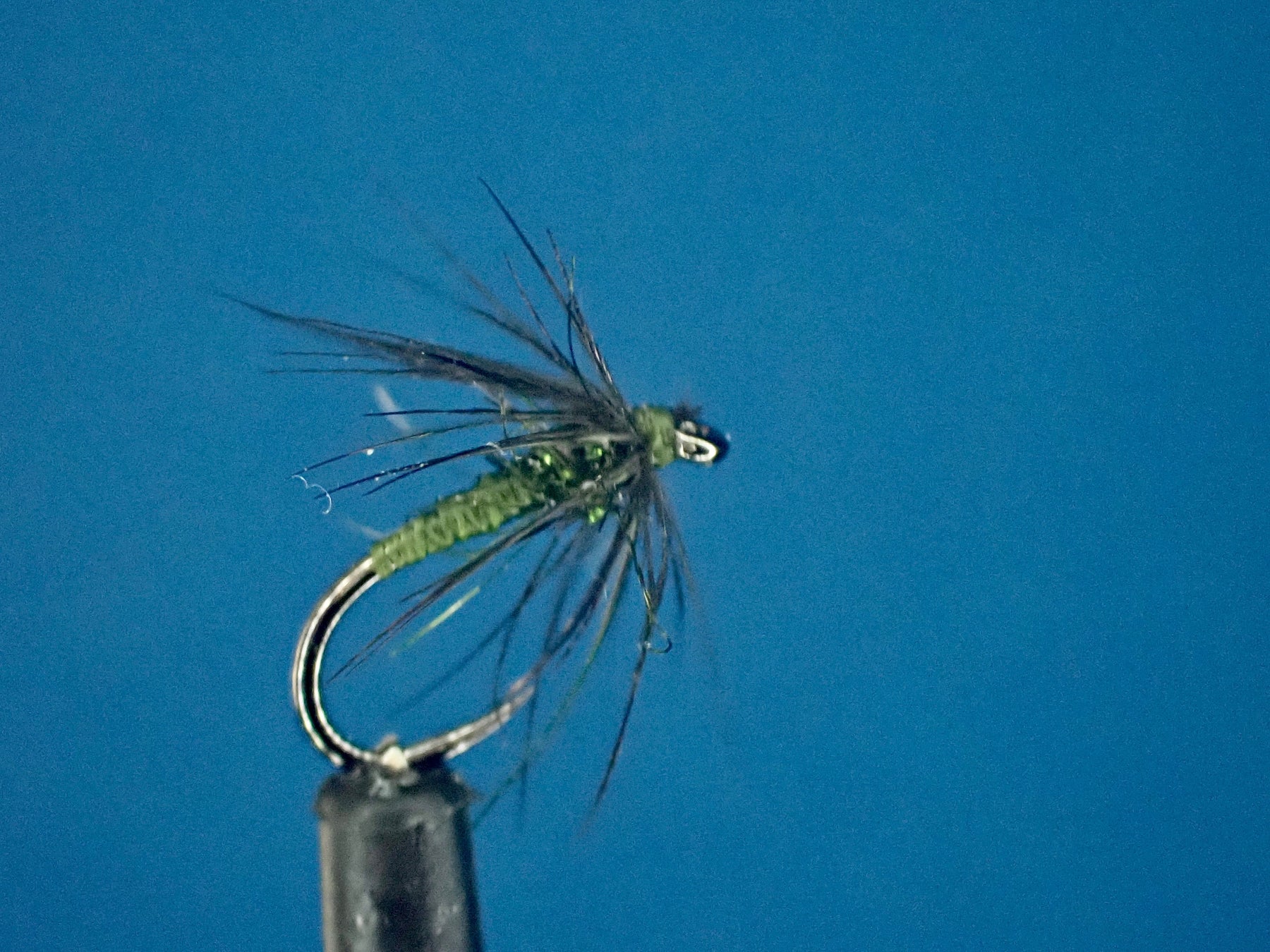 Master The Art of North Country Spiders with the Olive and Starling Soft Hackle