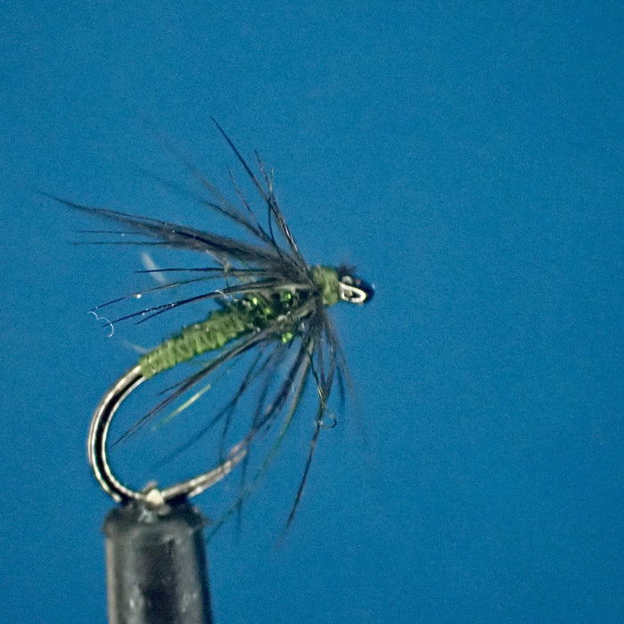 Master The Art of North Country Spiders with the Olive and Starling Soft Hackle