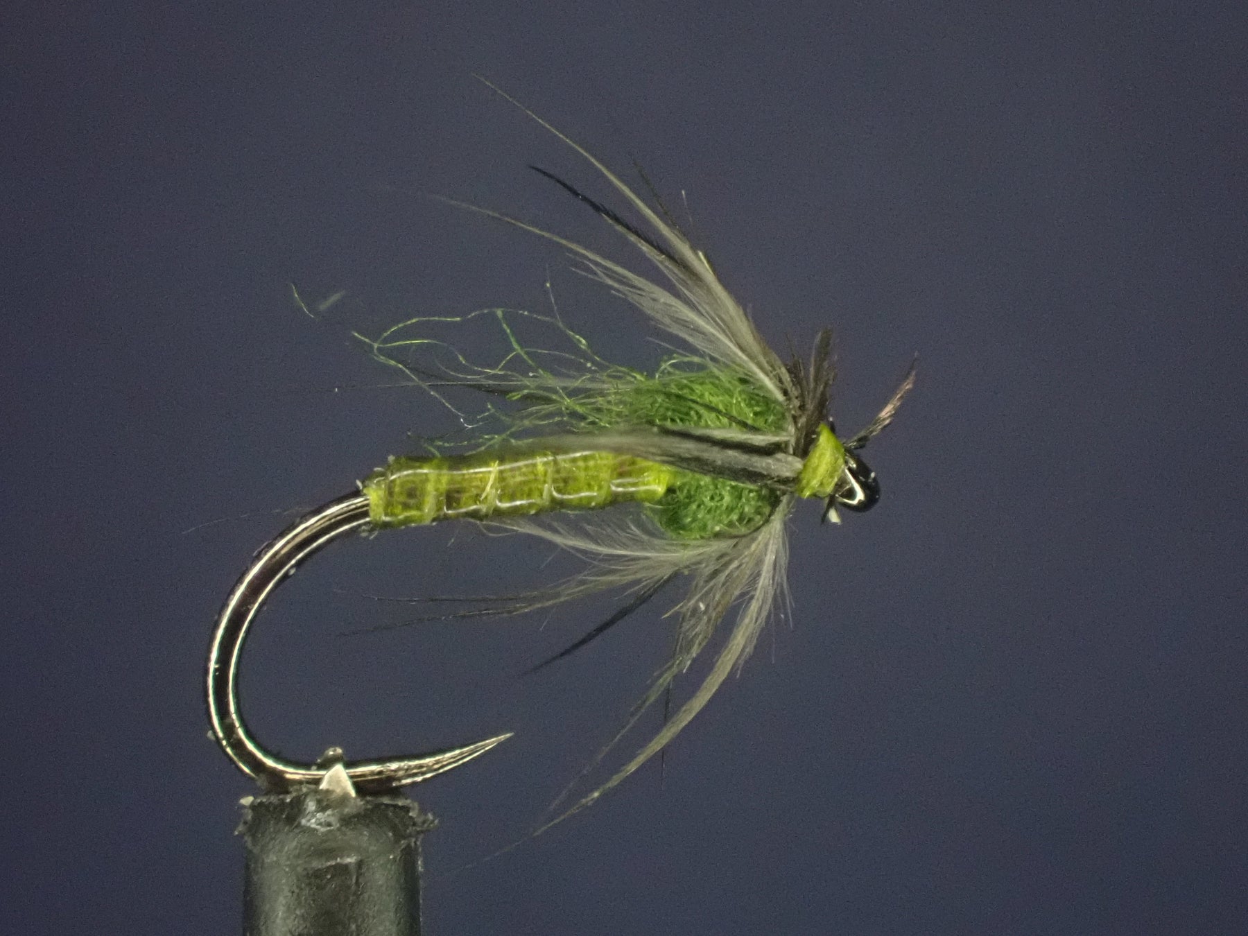 Unveiling the Olive Quill Starling Soft Hackle: A Modern Twist on a Timeless Classic
