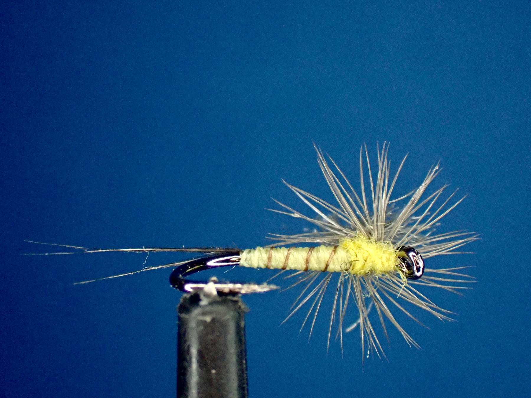 Unveiling the Parachute PMD Dry Fly: A Feast for Finicky Fish — Moonlit ...