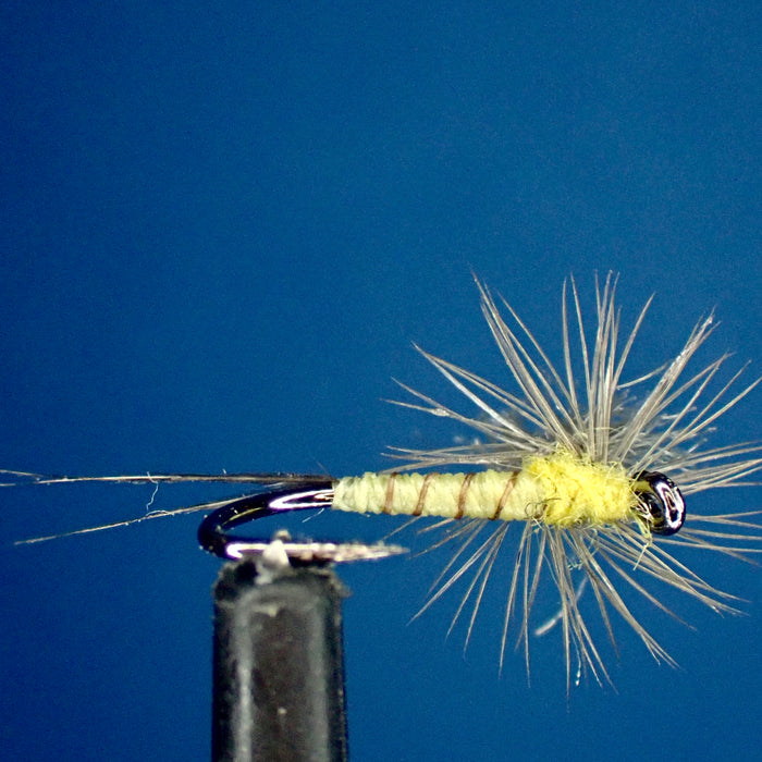 Unveiling the Parachute PMD Dry Fly: A Feast for Finicky Fish