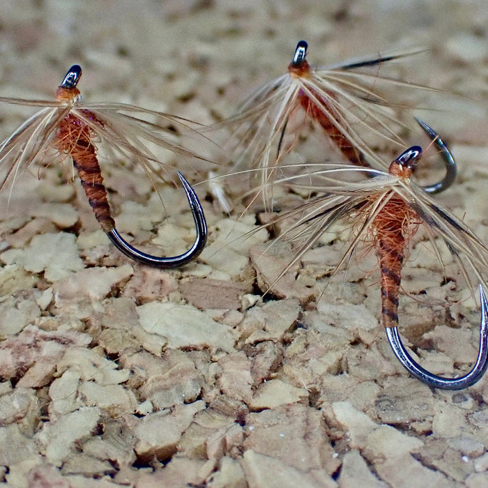 The March Brown North Country Spider Soft Hackle: A Timeless Fly for a Timeless Hatch
