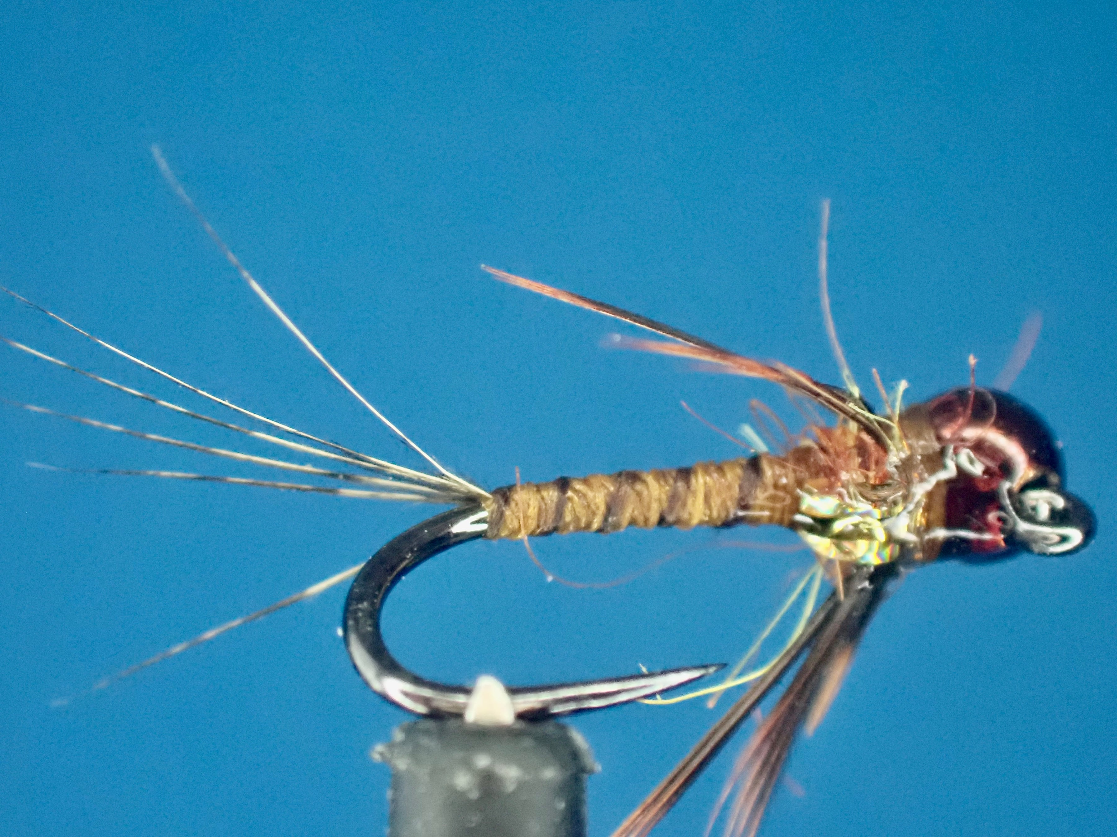 Pmd Insect The Importance of PMD Insects in a Fish Diet: A Comprehensive Guide ...