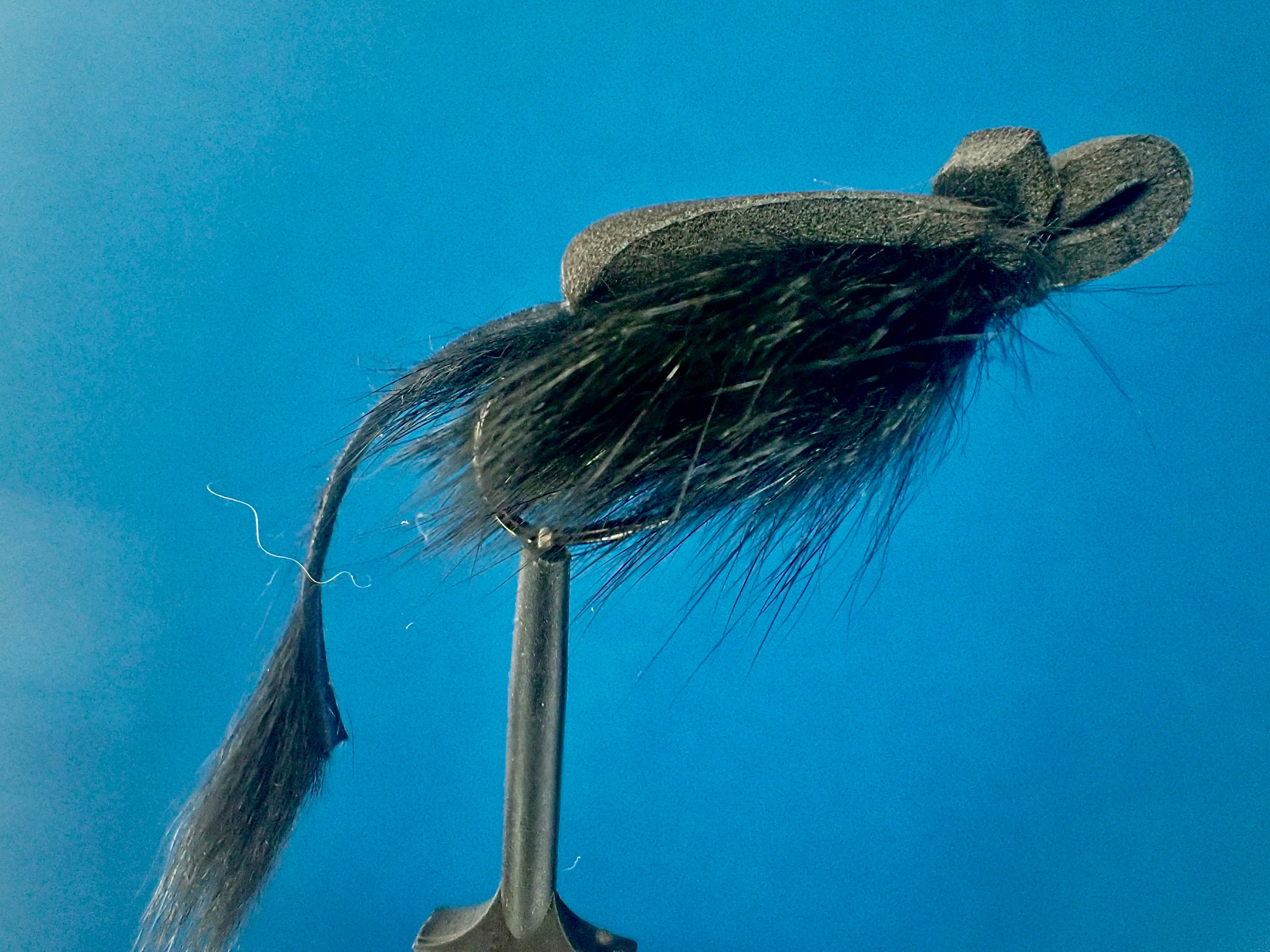 Unveiling the Master Splinter Mouse Pattern: A Rodent Feast for Fish ...