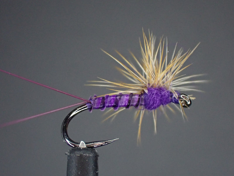 am fishing lures purple haze Size 12 a fleeing baitfish Parachute Purple Haze