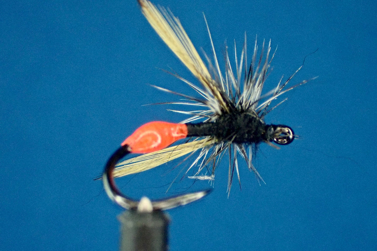 The Luminous Loop Ant: A Must-Have Pattern for Every Fly Box — Moonlit ...