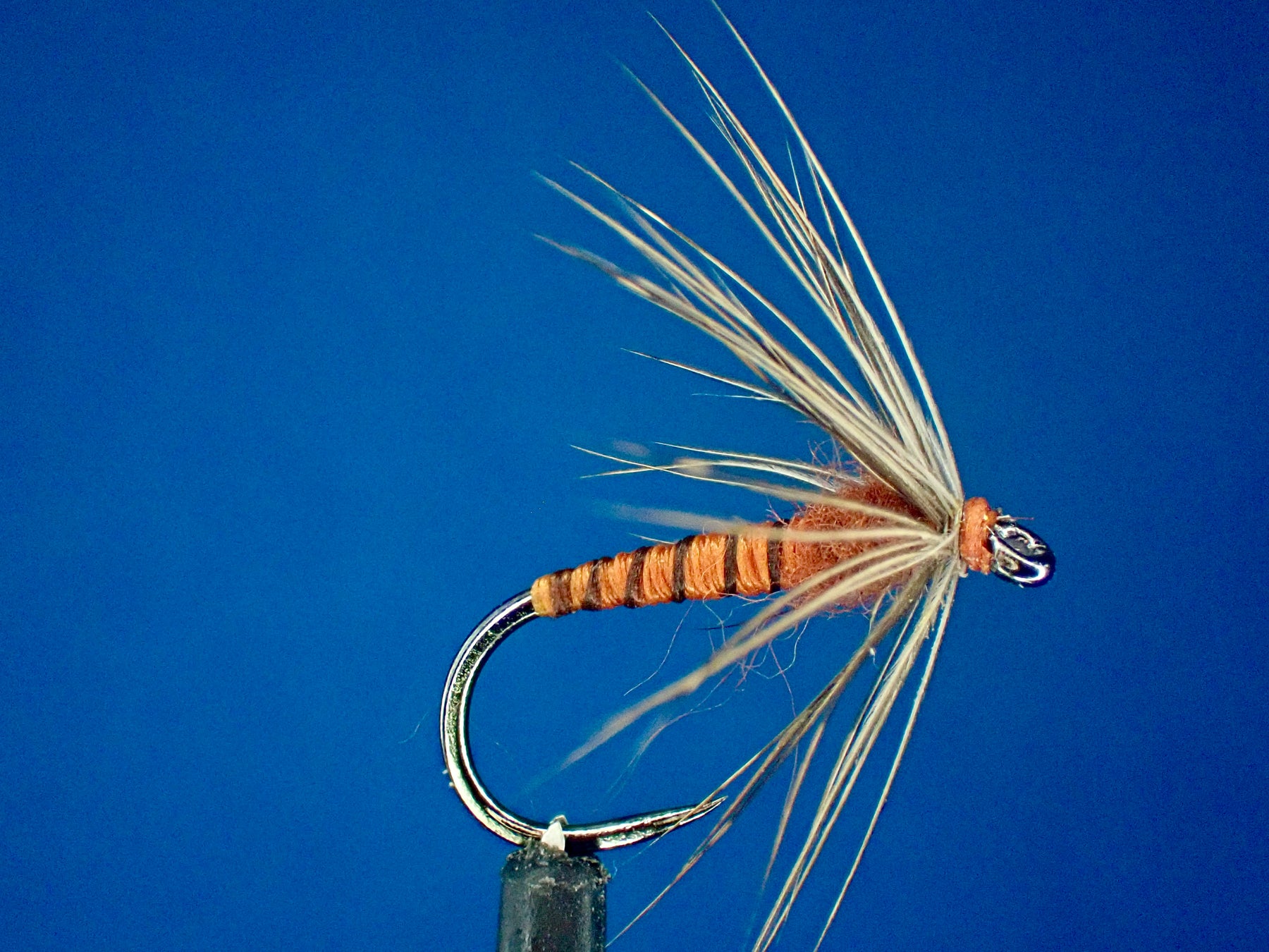 The October Caddis Soft Hackle Spider: An Essential Pattern for Fall Fly Fishing