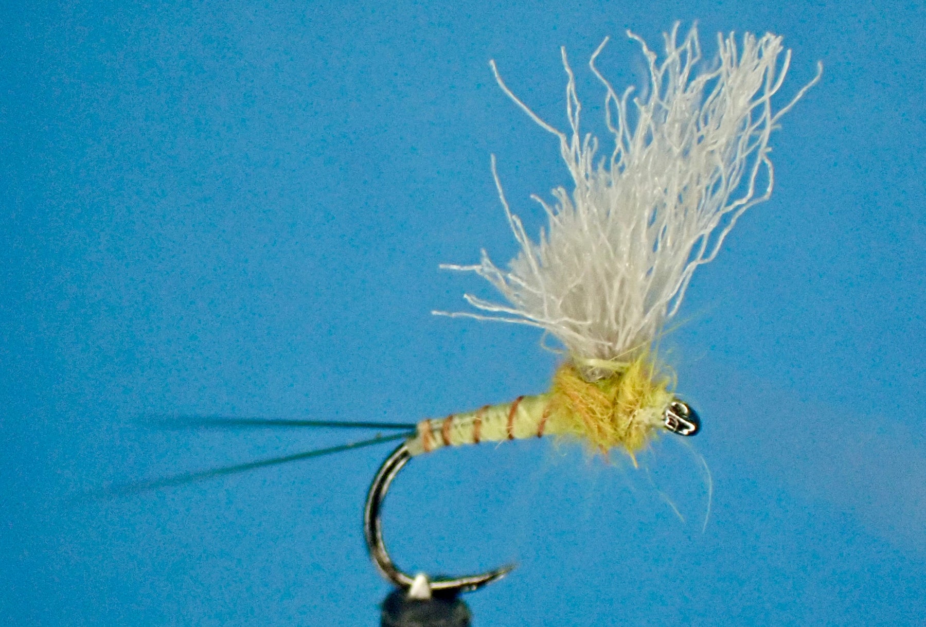 Halo Upright Wing PMD: A Simple, Deadly Dry Fly Pattern for Every PMD Hatch