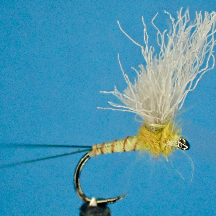 Halo Upright Wing PMD: A Simple, Deadly Dry Fly Pattern for Every PMD Hatch