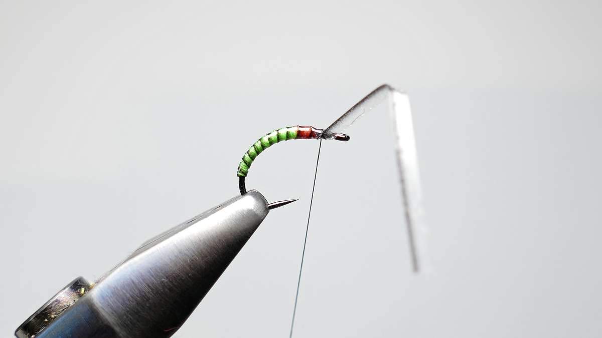 Semperfli Transparent Peccary Quills (Synthetic Quills) — Moonlit Fly  Fishing