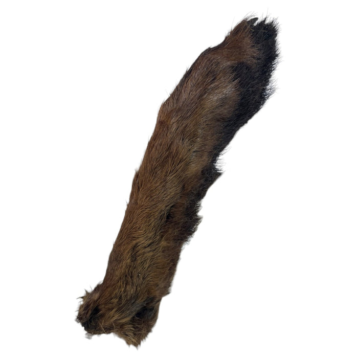 Semperfli Snowshoe Rabbit Foot – Natural Fly Tying Hair