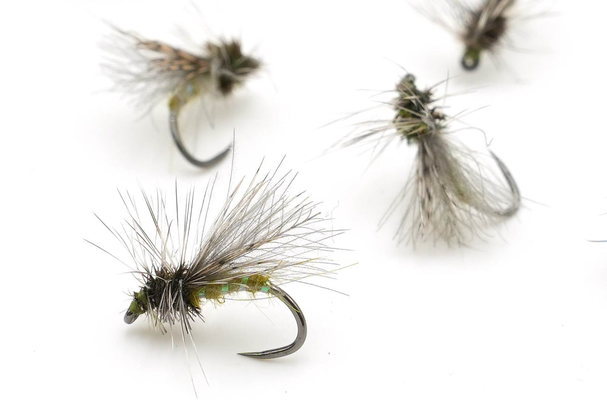caddis fly fishing lure Olive HiVis Balloon Tying Kit CDC keeps it from absorbing water Fly of the week: Goddard