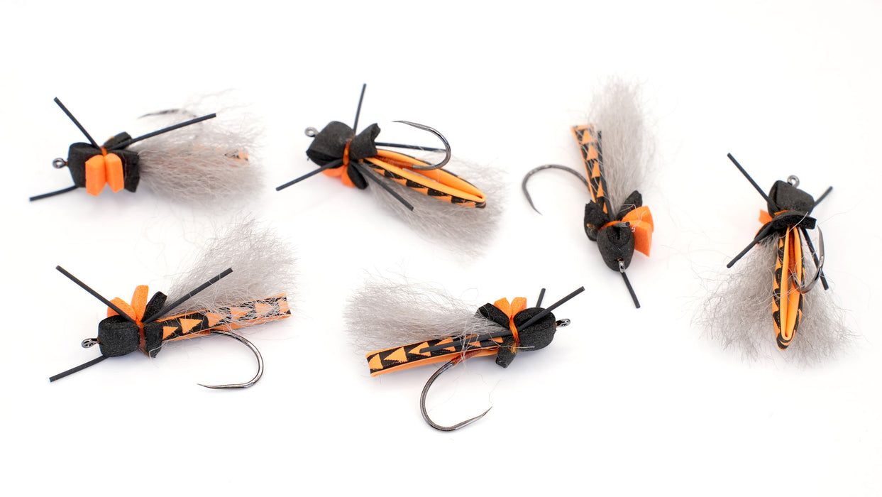 H20 Salmon Flies (6 pack)
