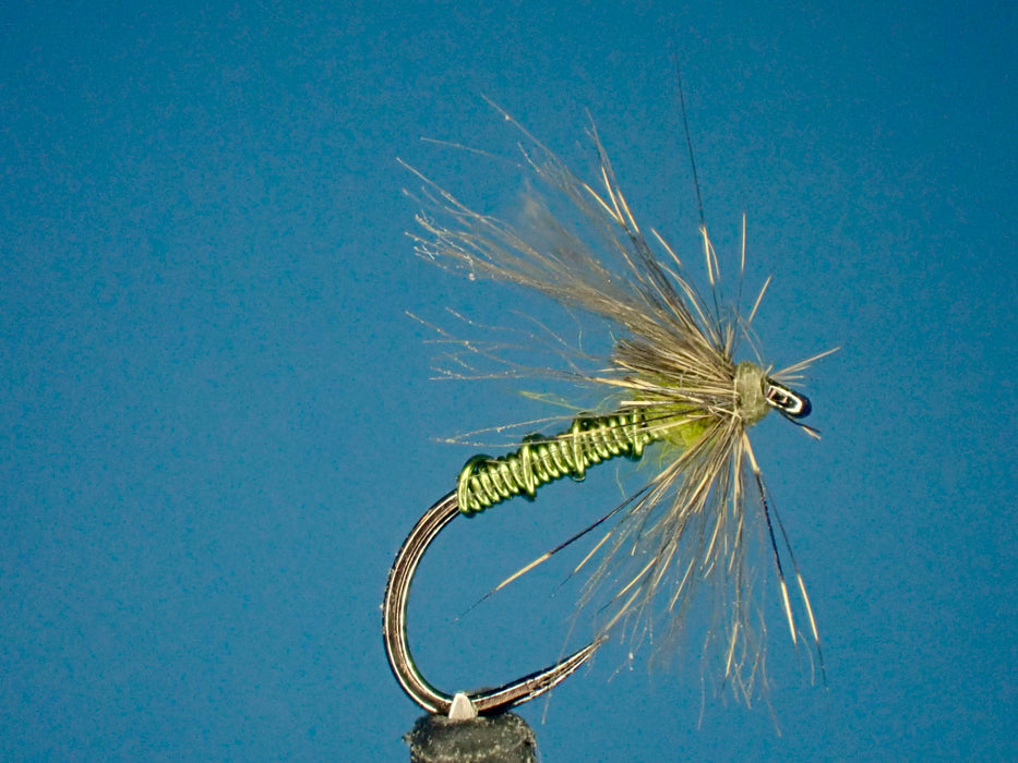 Wicked Wire Pine BWO Soft Hackle Fly Tying Kit | Segmented Wire Body Pattern