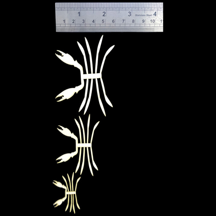 ABC Crab Legs & Claws Skeletons