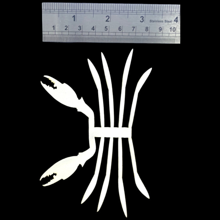 ABC Crab Legs & Claws Skeletons