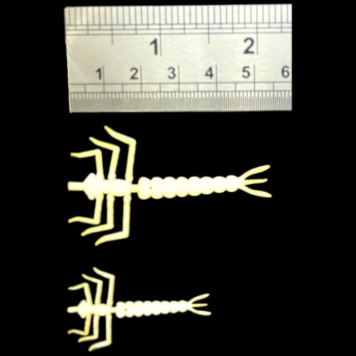 ABC Damsel Nymphs Kit