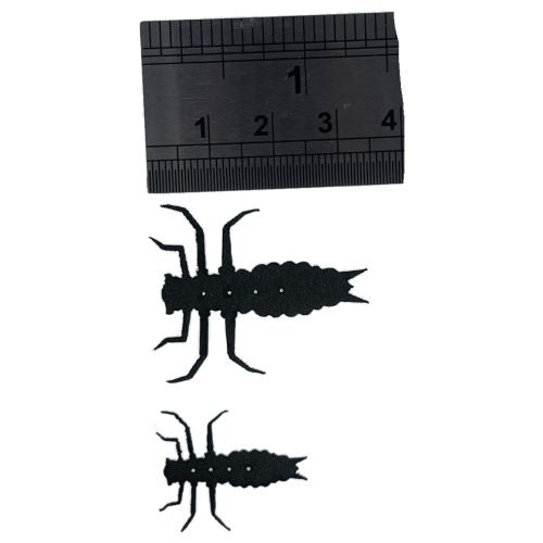 ABC Dragonfly Nymphs
