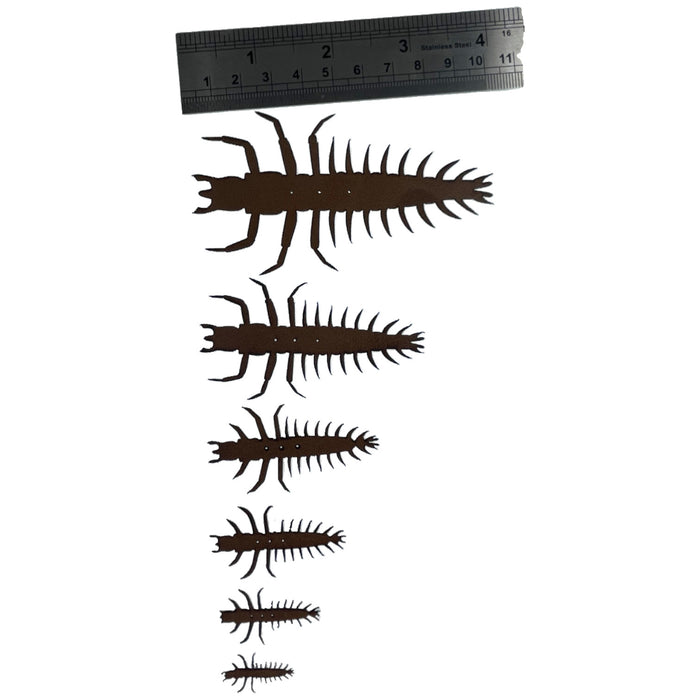 ABC Helgrammite Nymphs