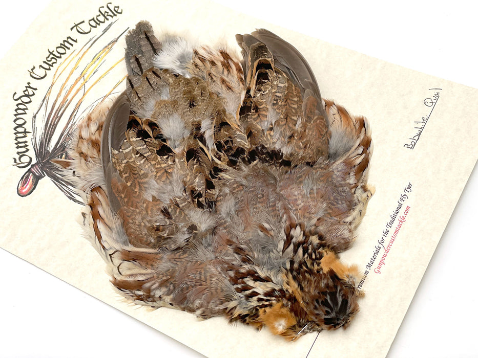 Bobwhite Quail Skin - Fly Tying Feathers