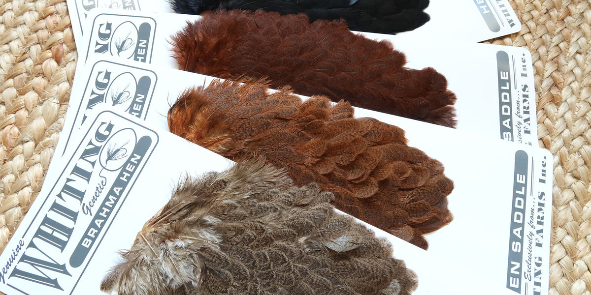 Whiting Brahma Hen Saddle | Whiting Farms — Moonlit Fly Fishing