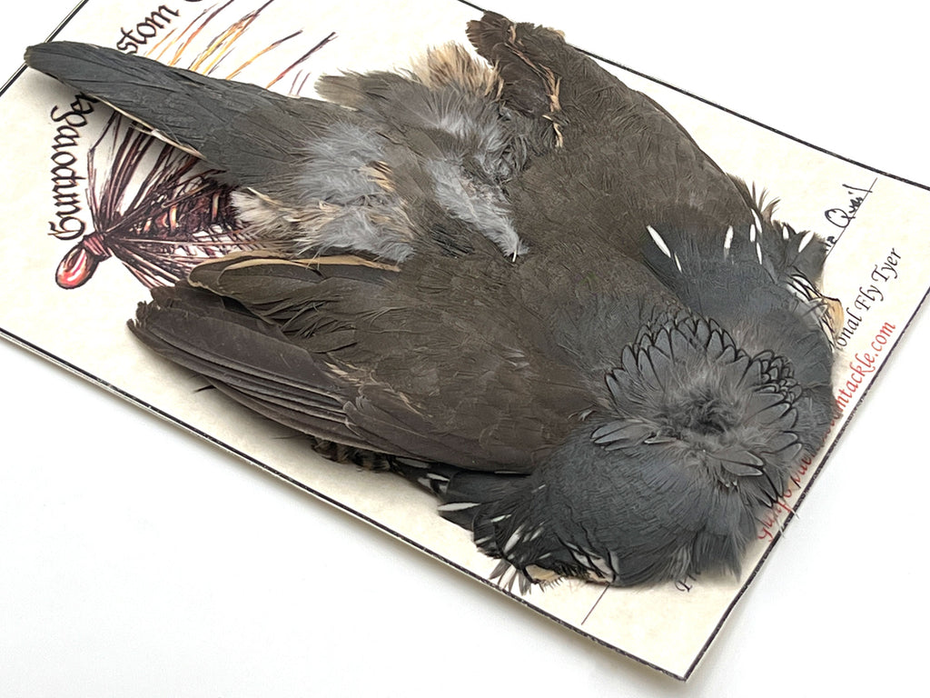 Fly Tying Feathers Whiting Farms — Moonlit Fly Fishing