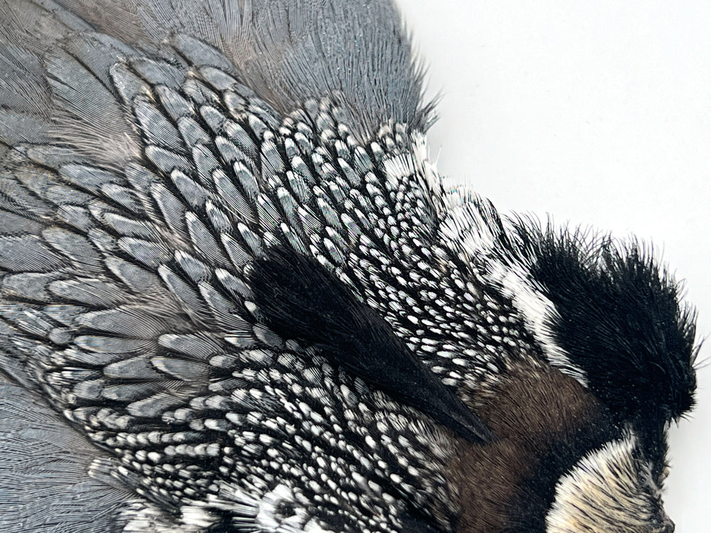 Fly Tying Feathers Whiting Farms — Moonlit Fly Fishing