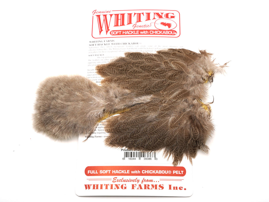 Whiting Brahma Soft Hackle with Chickabou