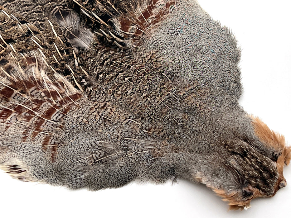 Perdix Premium Grade AA Hungarian Partridge Skin Natural
