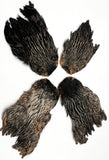 India Hen Neck feather patch (Moonlit)