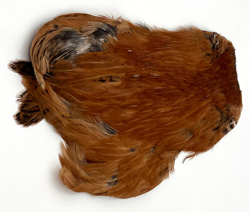 India Hen Neck feather patch (Moonlit)