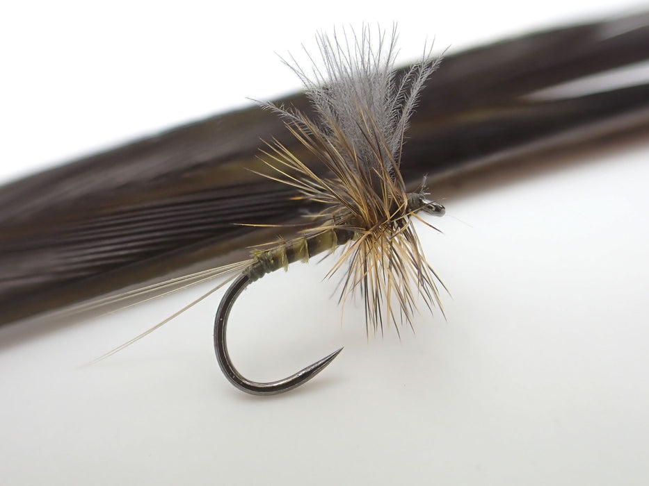 Magpie Wild Barred Turkey Biot Quills — Moonlit Fly Fishing